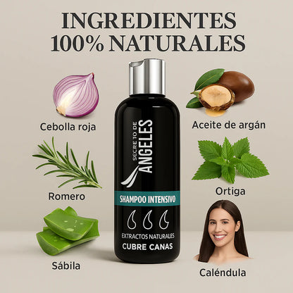 Shampoo Cubre Canas 250 ML | POR HOY Regalo Gratis Shampoo Colageno 🎁 de 120 |