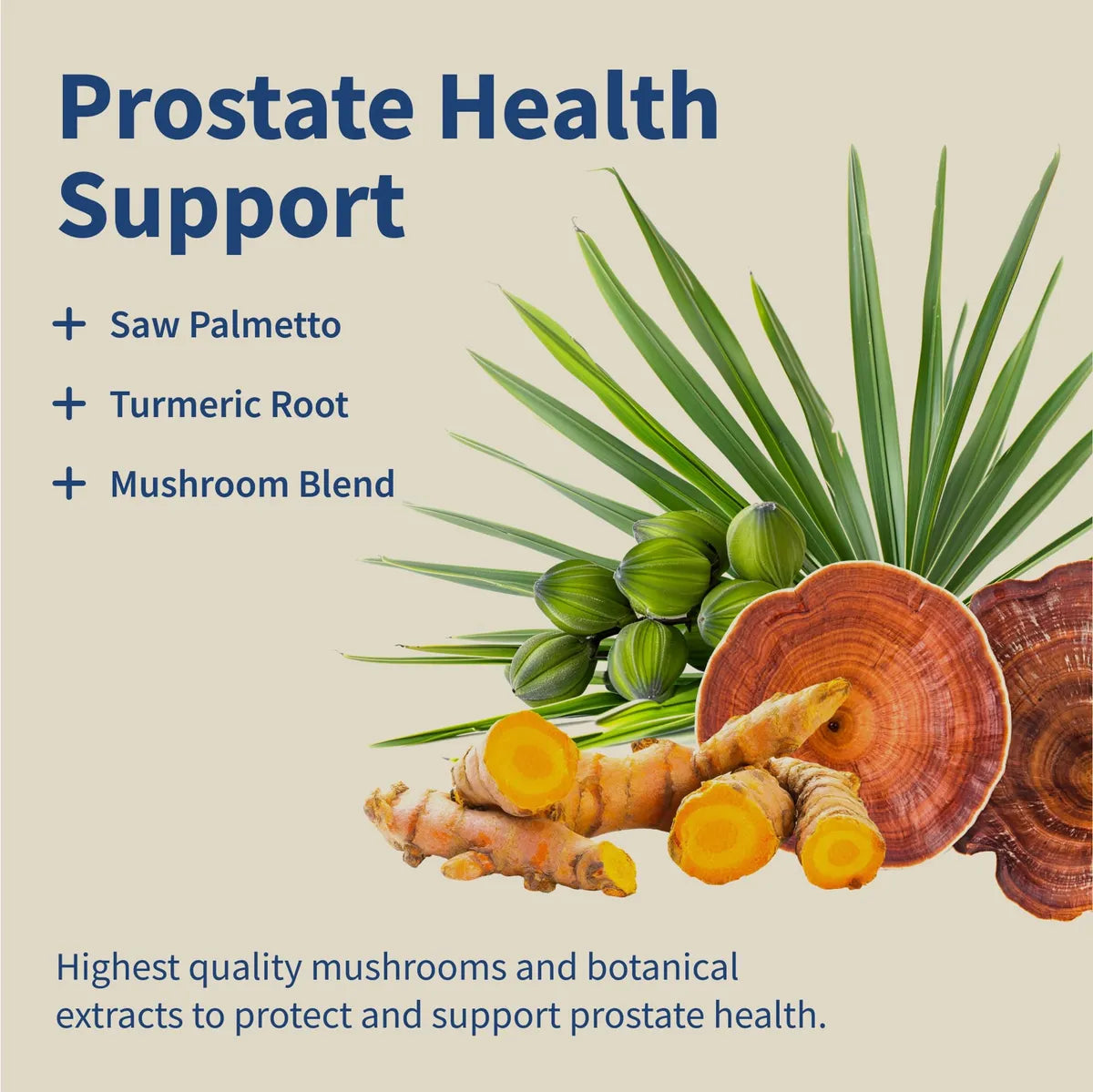 Prostate Health – Bienestar masculino natural con extractos premium